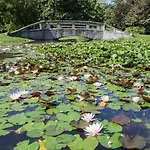 Albina 埃格尔