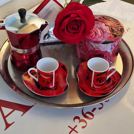 Albina Apartamento *