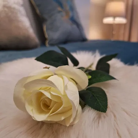Albina Apartamento